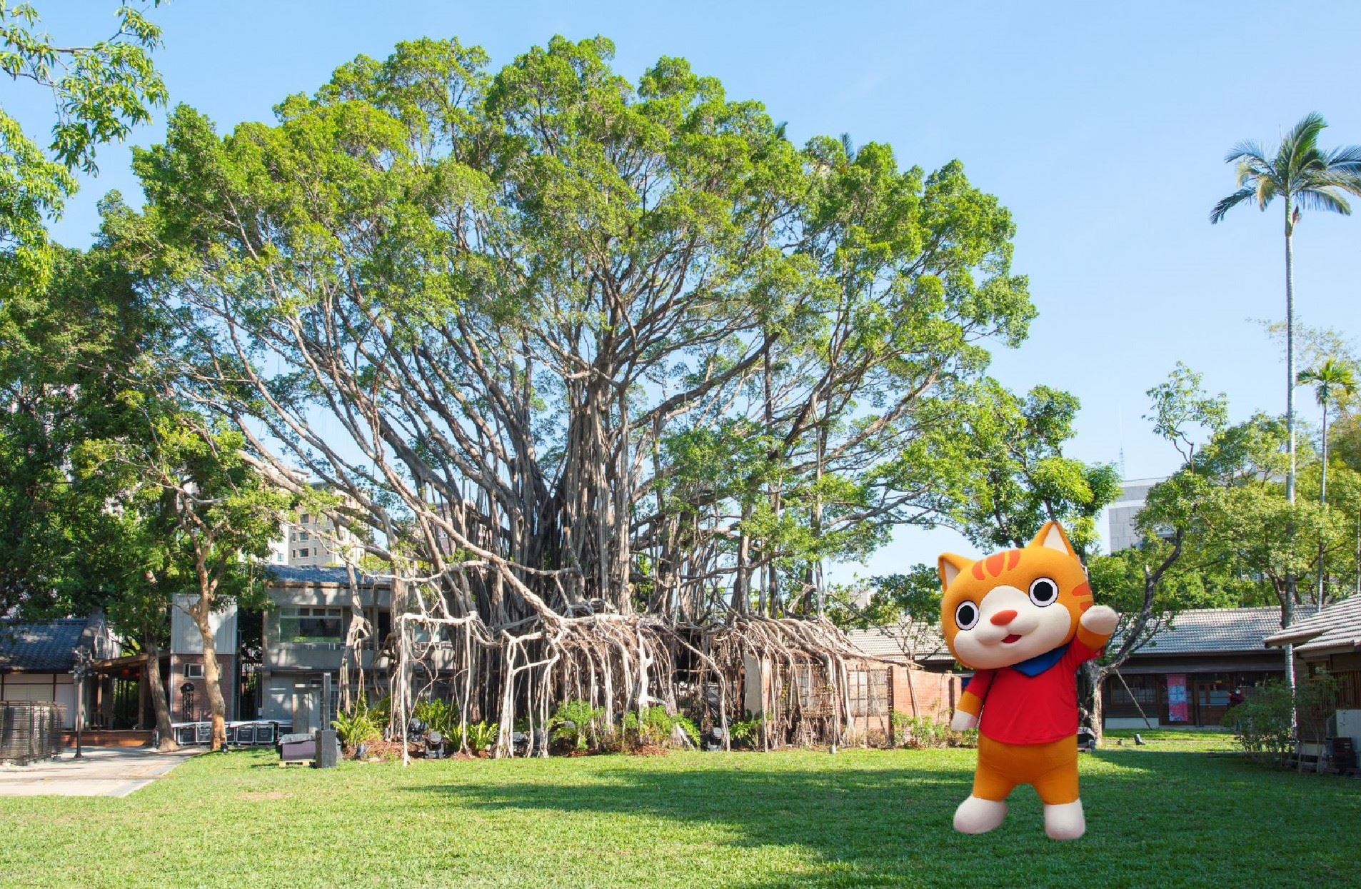 農曆新年走春！大小朋友「龍」來國家漫畫博物館園區，遇見臺灣漫畫家與野生小貓巴克里！